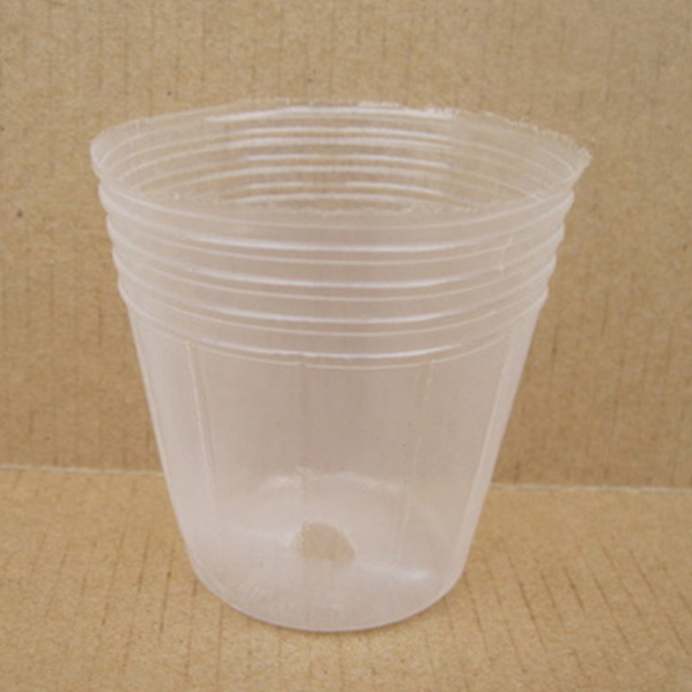 Transparent Plastic Pot for Growing Flowers Fruit And Vegetable 