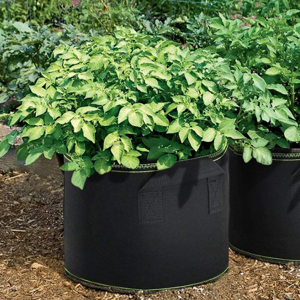 Fabric Plant Pots Grow Bags 1/3/5/7/10 Gallon Gardening Vegetable Tomato Strawberry Growing Planter Garden Potato Planting Pots 