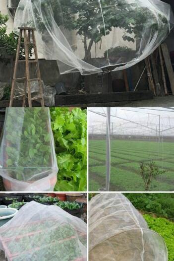 60 Mesh Plant Vegetables Insect Protection Net Flowers Protective Net Fruit Care Cover Greenhouse Garden Pest Control Anti Bird