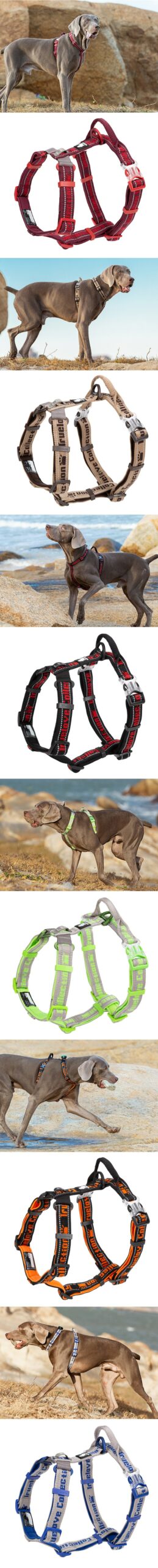 Winhyepet Dog Harness Adjustable Reflective Vest Pet Accessories All Weather Dog Traveling Harness For Small Meduim Large Dogs